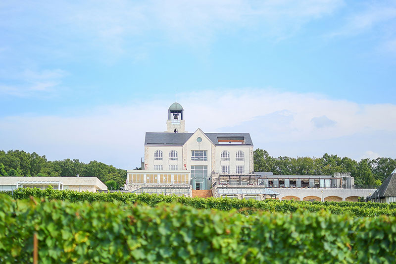 中伊豆ワイナリーシャトーT.S