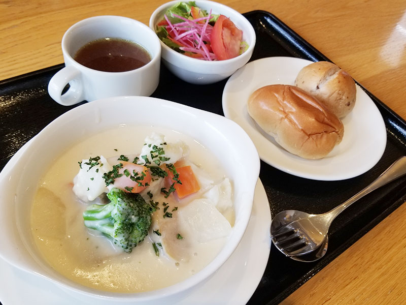 鶏もも肉のクリームシチュー